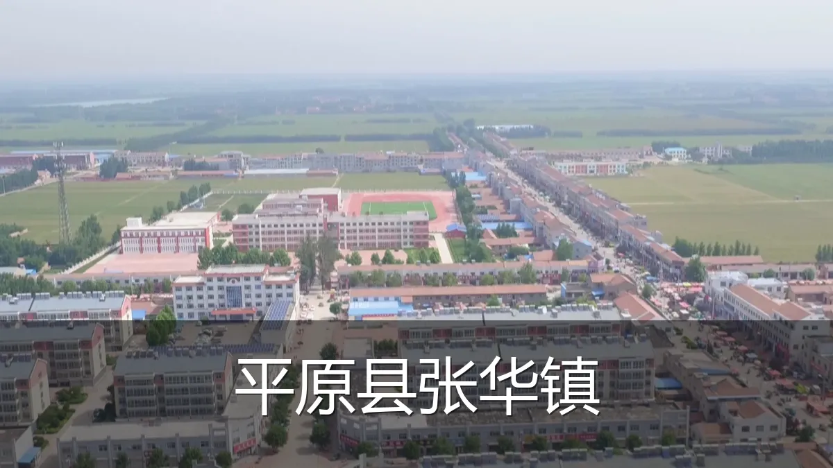平原县张华镇
