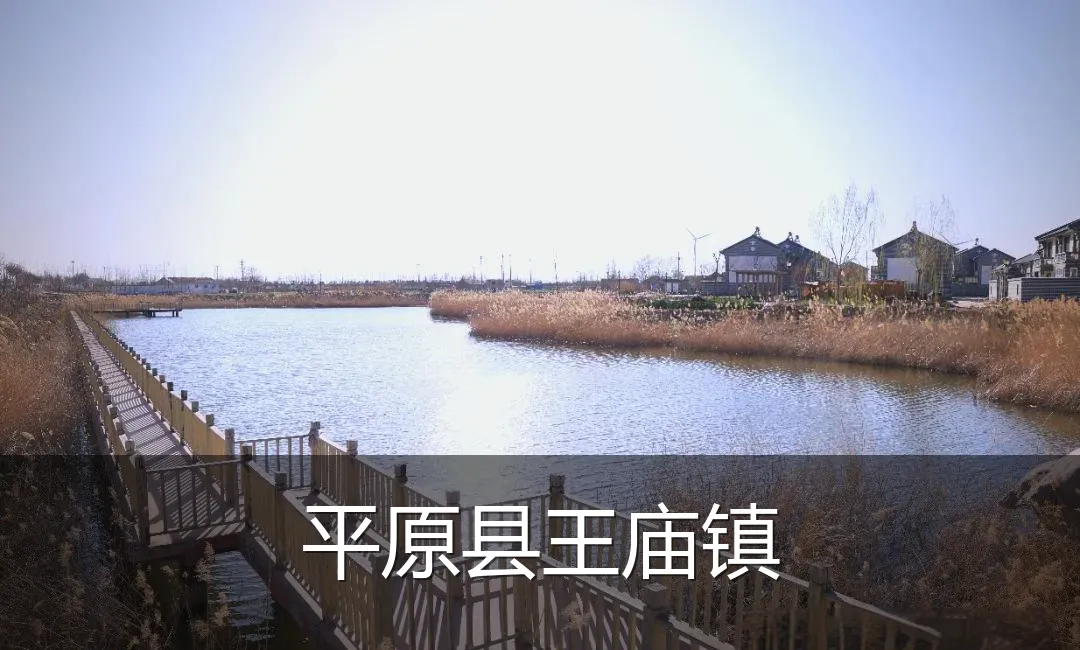 平原县王庙镇