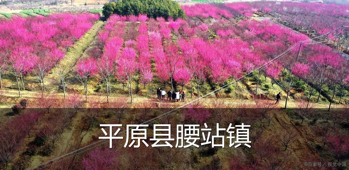平原县腰站镇