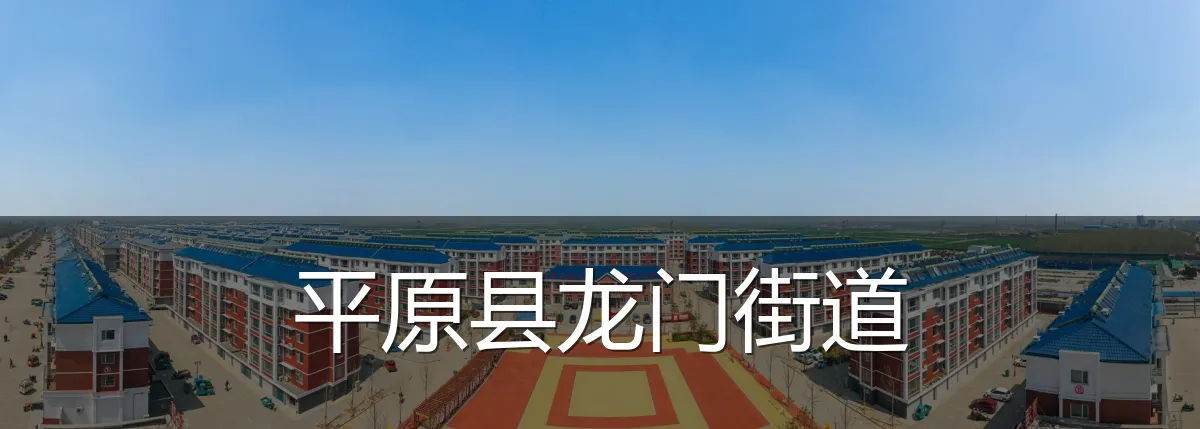 平原县龙门街道
